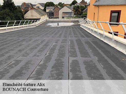 Etanchéité toiture alix-69380 BOUNACH Couverture