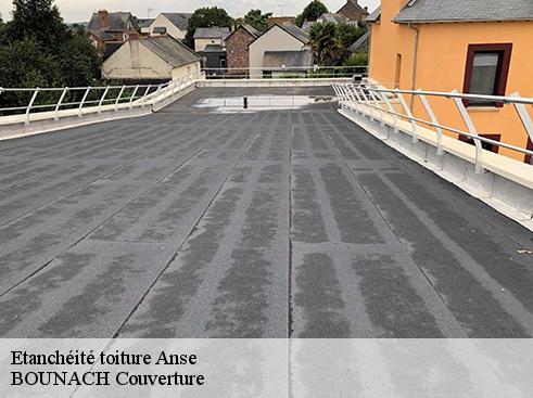 Etanchéité toiture anse-69480 BOUNACH Couverture