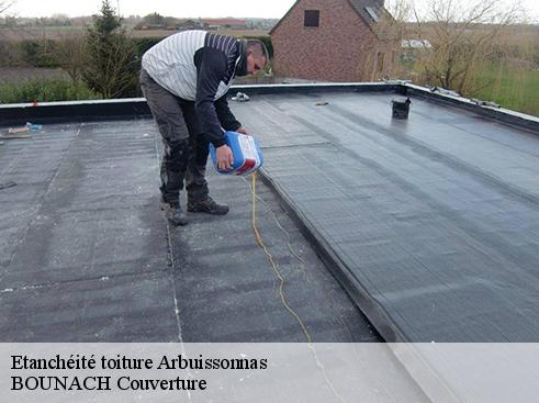 Etanchéité toiture arbuissonnas-69460 BOUNACH Couverture