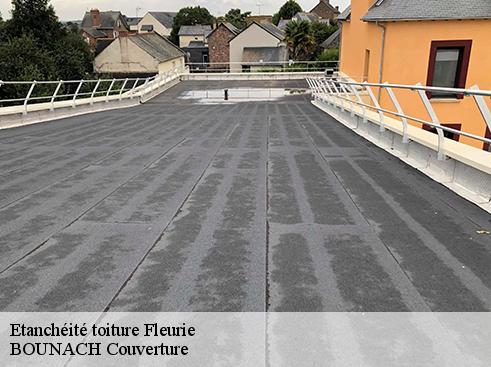 Etanchéité toiture fleurie-69820 BOUNACH Couverture