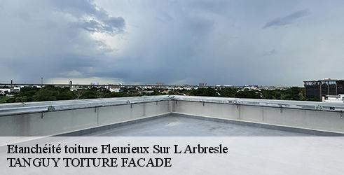 etancheite-toiture-tanguy-toiture-facade-7