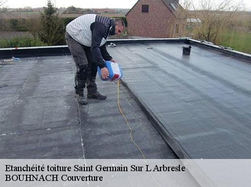 Etanchéité toiture  saint-germain-sur-l-arbresle-69210 BOUNACH Couverture 