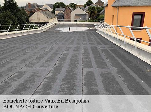 Etanchéité toiture  vaux-en-beaujolais-69460 BOUNACH Couverture 