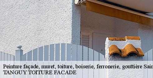 peinture-facade-muret-toiture-boiserie-ferronerie-gouttiere-tanguy-toiture-facade-10