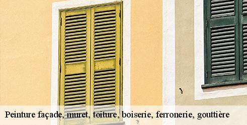 peinture-facade-muret-toiture-boiserie-ferronerie-gouttiere-tanguy-toiture-facade-9