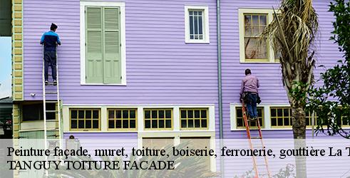 peinture-facade-muret-toiture-boiserie-ferronerie-gouttiere-tanguy-toiture-facade-4