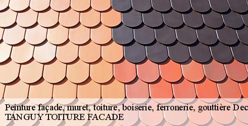 peinture-facade-muret-toiture-boiserie-ferronerie-gouttiere-tanguy-toiture-facade-1