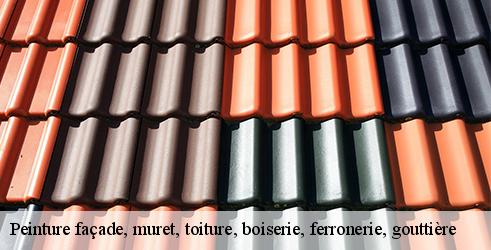 peinture-facade-muret-toiture-boiserie-ferronerie-gouttiere-tanguy-toiture-facade-3