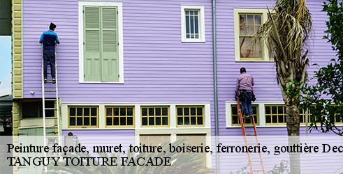 peinture-facade-muret-toiture-boiserie-ferronerie-gouttiere-tanguy-toiture-facade-4