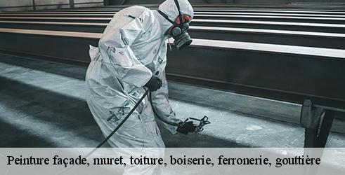 peinture-facade-muret-toiture-boiserie-ferronerie-gouttiere-tanguy-toiture-facade-6