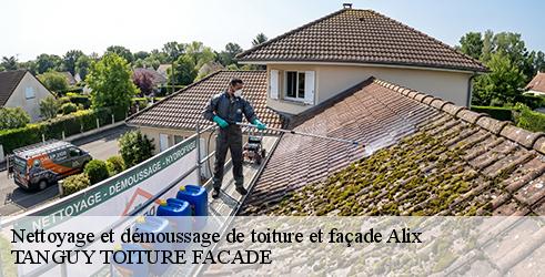 nettoyage-et-demoussage-de-toiture-et-facade-tanguy-toiture-facade-1