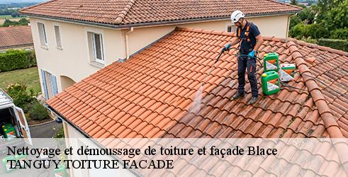 nettoyage-et-demoussage-de-toiture-et-facade-tanguy-toiture-facade-4