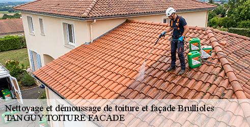 nettoyage-et-demoussage-de-toiture-et-facade-tanguy-toiture-facade-4