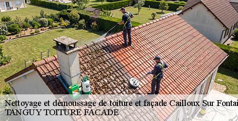 nettoyage-et-demoussage-de-toiture-et-facade-tanguy-toiture-facade-10