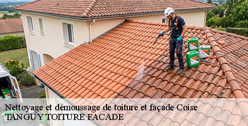 nettoyage-et-demoussage-de-toiture-et-facade-tanguy-toiture-facade-4
