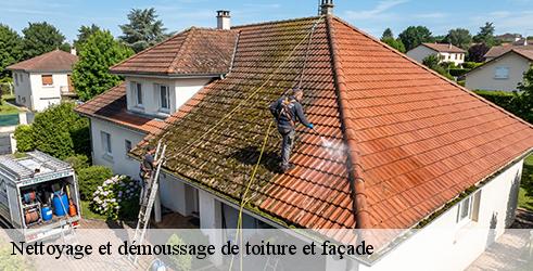 nettoyage-et-demoussage-de-toiture-et-facade-tanguy-toiture-facade-6