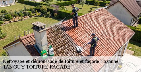 nettoyage-et-demoussage-de-toiture-et-facade-tanguy-toiture-facade-10
