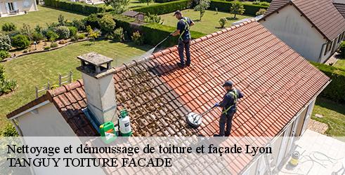 nettoyage-et-demoussage-de-toiture-et-facade-tanguy-toiture-facade-10