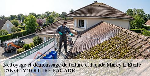 nettoyage-et-demoussage-de-toiture-et-facade-tanguy-toiture-facade-1