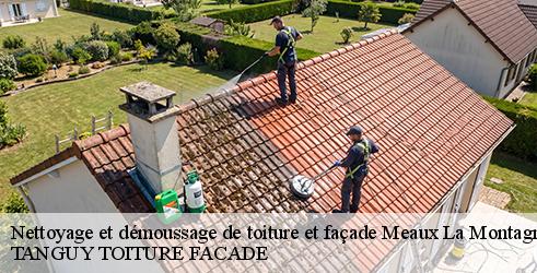 nettoyage-et-demoussage-de-toiture-et-facade-tanguy-toiture-facade-10