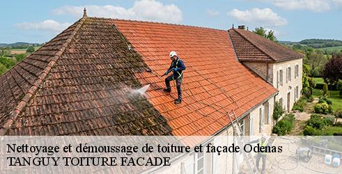 nettoyage-et-demoussage-de-toiture-et-facade-tanguy-toiture-facade-7