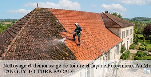 nettoyage-et-demoussage-de-toiture-et-facade-tanguy-toiture-facade-7