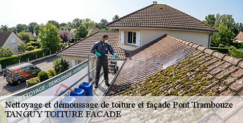 nettoyage-et-demoussage-de-toiture-et-facade-tanguy-toiture-facade-1