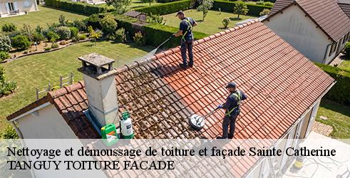 nettoyage-et-demoussage-de-toiture-et-facade-tanguy-toiture-facade-10