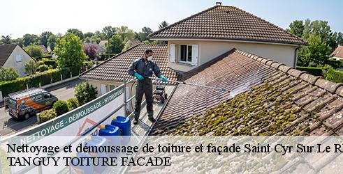 nettoyage-et-demoussage-de-toiture-et-facade-tanguy-toiture-facade-1