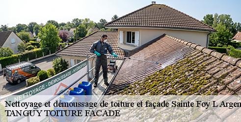 nettoyage-et-demoussage-de-toiture-et-facade-tanguy-toiture-facade-1