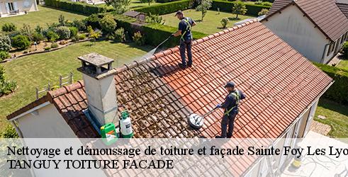 nettoyage-et-demoussage-de-toiture-et-facade-tanguy-toiture-facade-10