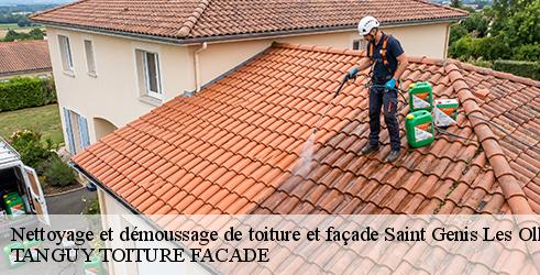 nettoyage-et-demoussage-de-toiture-et-facade-tanguy-toiture-facade-4