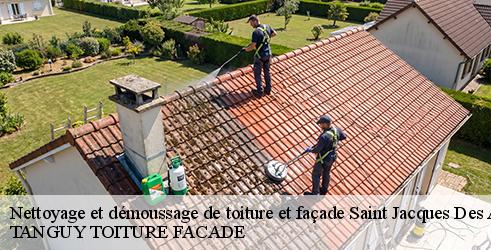 nettoyage-et-demoussage-de-toiture-et-facade-tanguy-toiture-facade-10
