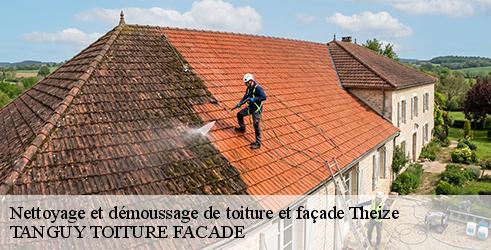 nettoyage-et-demoussage-de-toiture-et-facade-tanguy-toiture-facade-7
