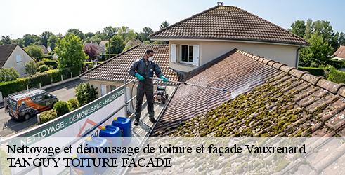 nettoyage-et-demoussage-de-toiture-et-facade-tanguy-toiture-facade-1