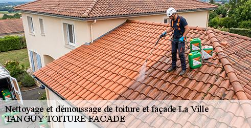 nettoyage-et-demoussage-de-toiture-et-facade-tanguy-toiture-facade-4