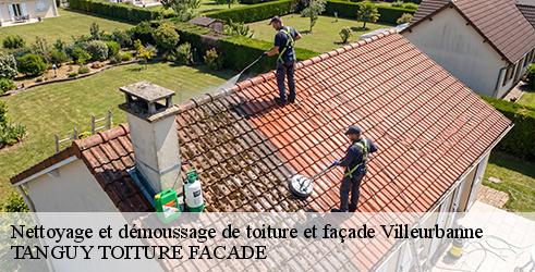 Nettoyage et démoussage de toiture et façade TANGUY TOITURE FACADE