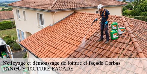 nettoyage-et-demoussage-de-toiture-et-facade-tanguy-toiture-facade-4