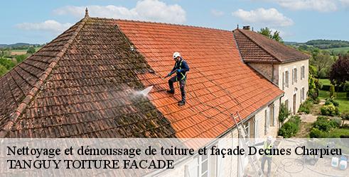 nettoyage-et-demoussage-de-toiture-et-facade-tanguy-toiture-facade-7