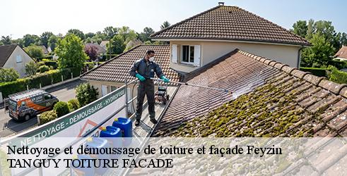 nettoyage-et-demoussage-de-toiture-et-facade-tanguy-toiture-facade-1