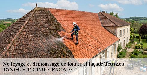 nettoyage-et-demoussage-de-toiture-et-facade-tanguy-toiture-facade-7