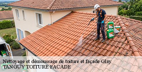 nettoyage-et-demoussage-de-toiture-et-facade-tanguy-toiture-facade-4