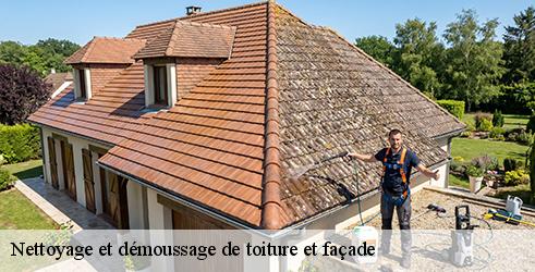 nettoyage-et-demoussage-de-toiture-et-facade-tanguy-toiture-facade-9