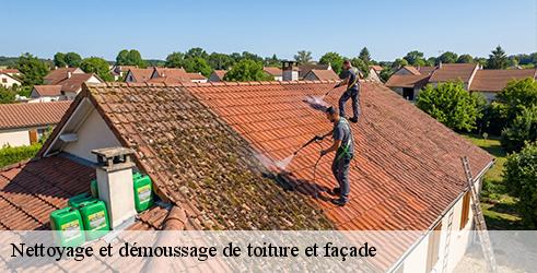 nettoyage-et-demoussage-de-toiture-et-facade-tanguy-toiture-facade-3