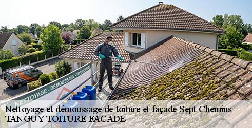 nettoyage-et-demoussage-de-toiture-et-facade-tanguy-toiture-facade-1