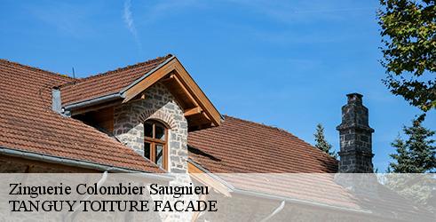 zinguerie-tanguy-toiture-facade-7